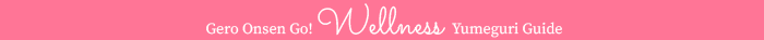 Gero Onsen Go! Wellness Yumeguri Guide