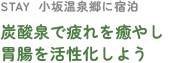 STAY  小坂温泉郷に宿泊炭酸泉で疲れを癒やし胃腸を活性化しよう