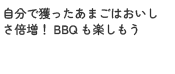 自分で獲ったあまごはおいしさ倍増！BBQも楽しもう