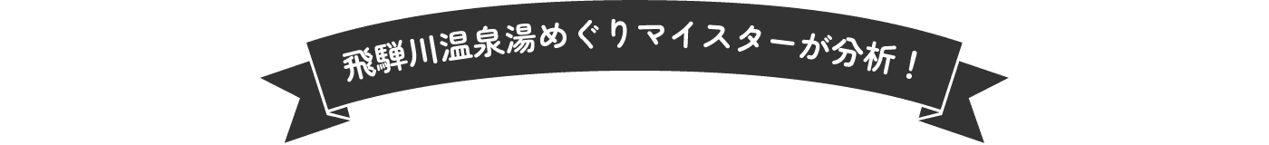 飛騨川温泉湯めぐりマイスターが分析！